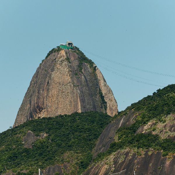 brazil newton pharmacy