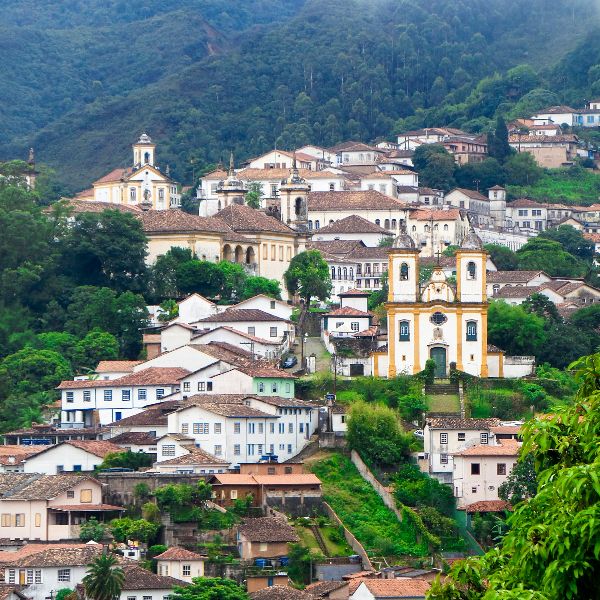 brazil newton pharmacy