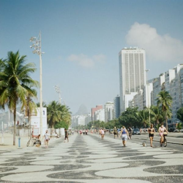 brazil newton pharmacy