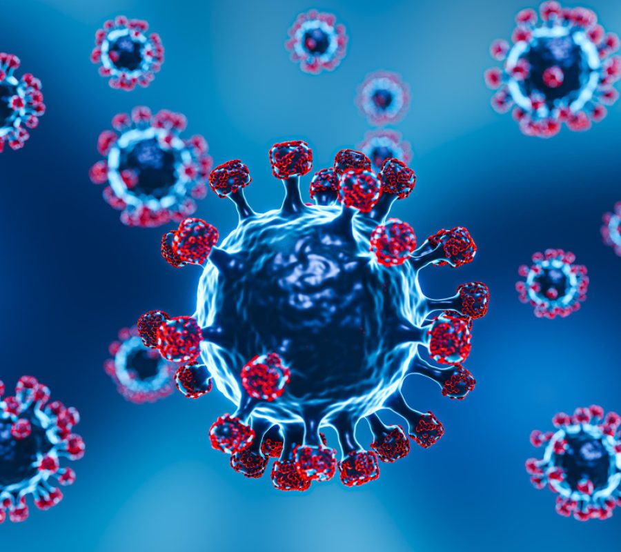 seasonal covid vaccinations